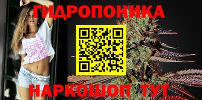 мяу мяу мука Владимир