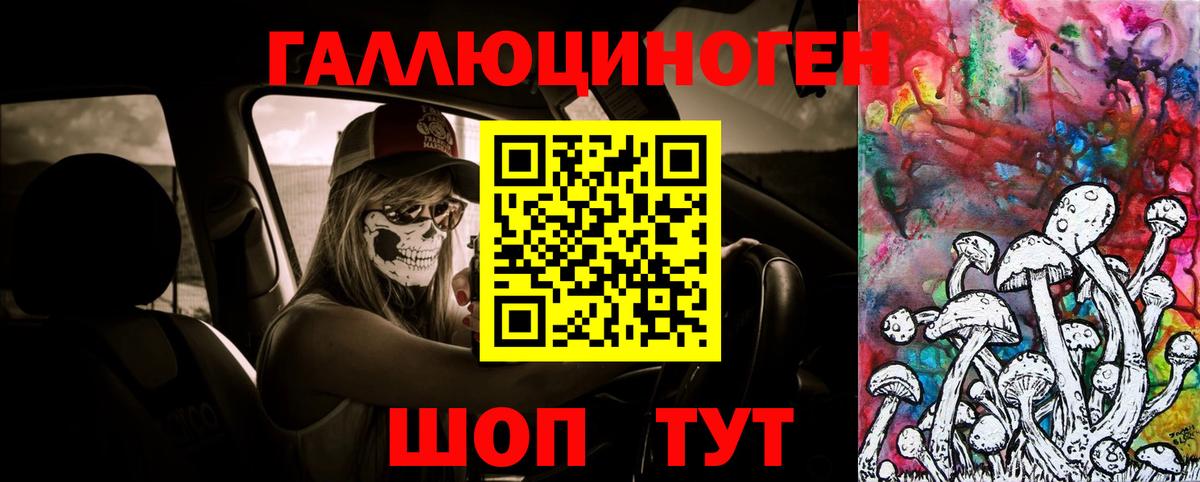 Псилоцибиновые грибы Psilocybe Владикавказ