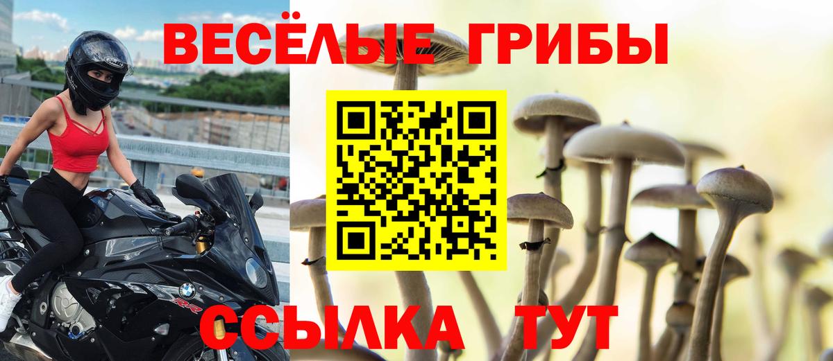 Псилоцибиновые грибы MAGIC MUSHROOMS  Вход с VPN  Владикавказ 